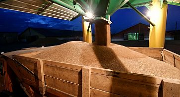 Россия временно запретила экспорт зерна и сахара в другие страны
