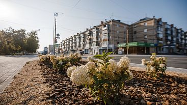 Южноуральск уступил первое место по качеству городской среды